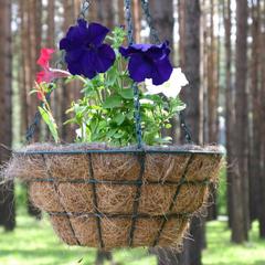 База отдыха Светофор, Первоуральск, Свердловская область