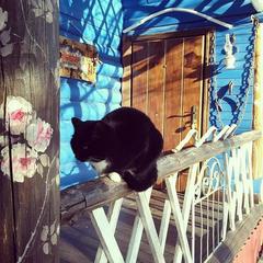  Арт Отель, Переславль-Залесский, Ярославская область