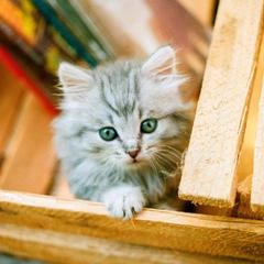  Арт Отель, Переславль-Залесский, Ярославская область