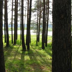 База отдыха Светофор, Первоуральск, Свердловская область