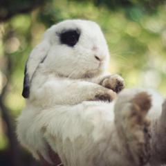  Арт Отель, Переславль-Залесский, Ярославская область