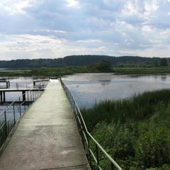 База отдыха Светофор, Первоуральск, Свердловская область