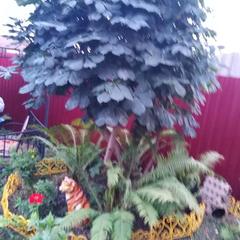 Гостевой дом На Кардовского 75, Переславль-Залесский, Ярославская область