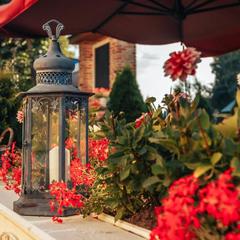 Отель Альбицкий Сад, Переславль-Залесский, Ярославская область