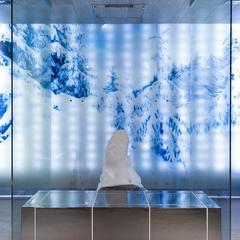  AZIMUT Отель Переславль, Переславль-Залесский, Ярославская область