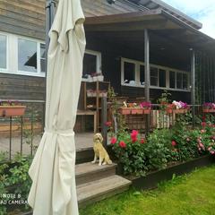 Загородный отель Winter Country House and SPA, Переславль-Залесский, Ярославская область