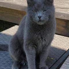 Загородный отель Winter Country House and SPA, Переславль-Залесский, Ярославская область