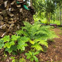  Загородный дом У Лыжника, Переславль-Залесский, Ярославская область