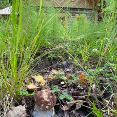  Загородный дом У Лыжника, Переславль-Залесский, Ярославская область