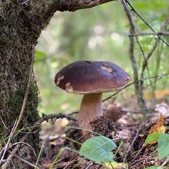  Загородный дом У Лыжника, Переславль-Залесский, Ярославская область
