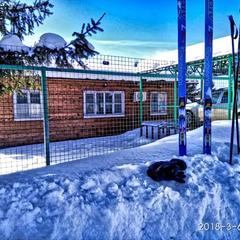 Загородный отель Winter Country House and SPA, Переславль-Залесский, Ярославская область