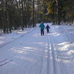  Загородный дом У Лыжника, Переславль-Залесский, Ярославская область