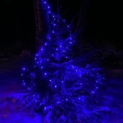  Загородный дом У Лыжника, Переславль-Залесский, Ярославская область