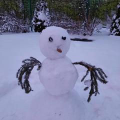 Загородный отель Winter Country House and SPA, Переславль-Залесский, Ярославская область