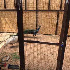 Гостиничный комплекс Бельведер, Пересыпь, Краснодарский край