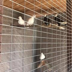 Гостиничный комплекс Бельведер, Пересыпь, Краснодарский край