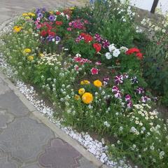 Гостевой дом Светлый, Пересыпь, Краснодарский край