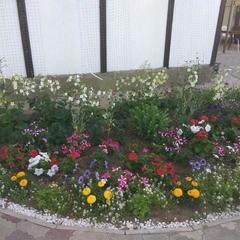 Гостевой дом Светлый, Пересыпь, Краснодарский край