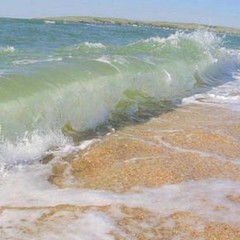 База отдыха Дельфин, Пересыпь, Краснодарский край