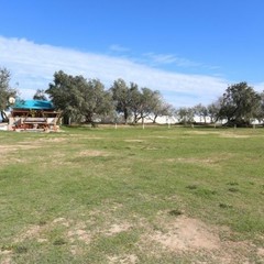 База отдыха Дельта, Пересыпь, Краснодарский край