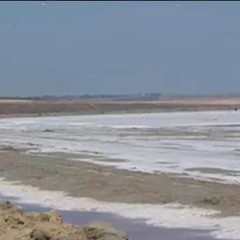 База отдыха Дельфин, Пересыпь, Краснодарский край