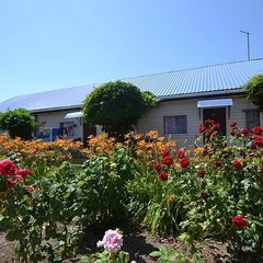 База отдыха Дельфин, Пересыпь, Краснодарский край