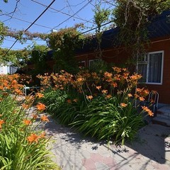 База отдыха Дельфин, Пересыпь, Краснодарский край