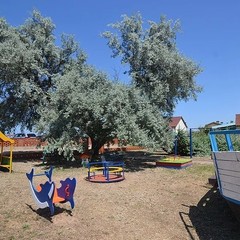 База отдыха Дельфин, Пересыпь, Краснодарский край