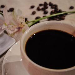 Отель Скорпион, Пермь, Пермский край