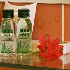 Гостиница Галерея, Пермь, Пермский край