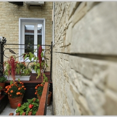 Гостиница Цветы, Пермь, Пермский край