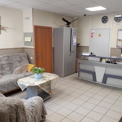 Гостиница Престиж, Пермь, Пермский край