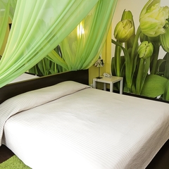 Гостиница Цветы, Пермь, Пермский край