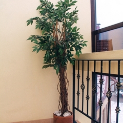 Гостиница Регион 59, Пермь, Пермский край