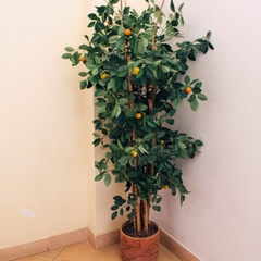 Гостиница Регион 59, Пермь, Пермский край