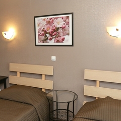 Гостиница Цветы, Пермь, Пермский край