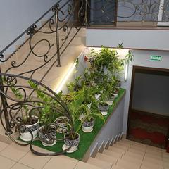 Гостиница Цветы, Пермь, Пермский край