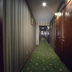 Гостиница Grand Budapest, Пермь, Пермский край