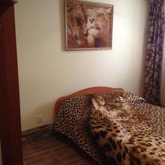 Гостиница Фортуна, Пермь, Пермский край