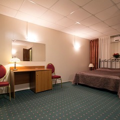 Гостиница Два льва, Пермь, Пермский край