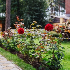 Гостиница Шале, Пермь, Пермский край