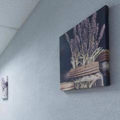 Отель Алберго, Пермь, Пермский край