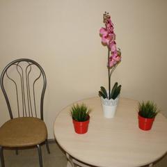 Отель Мечта, Пермь, Пермский край