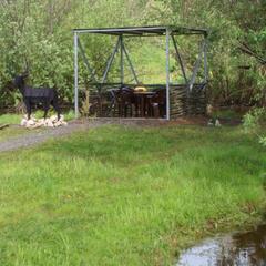 Гостевой дом Серебряное копытце, Пермь, Пермский край
