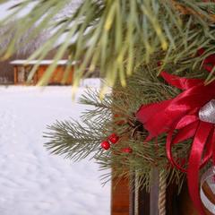 Гостевой дом Серебряное копытце, Пермь, Пермский край