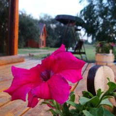 Гостевой дом Серебряное копытце, Пермь, Пермский край