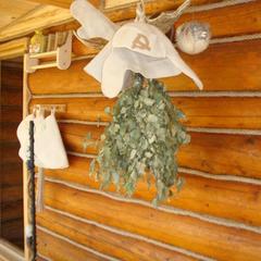 Гостевой дом Серебряное копытце, Пермь, Пермский край