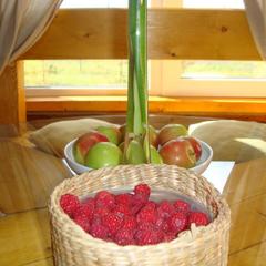 Гостевой дом Серебряное копытце, Пермь, Пермский край