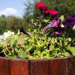 Гостевой дом Серебряное копытце, Пермь, Пермский край