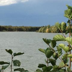 Гостевой дом Серебряное копытце, Пермь, Пермский край